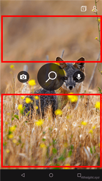 Android端末の壁紙にBing検索の日替わり写真を表示する方法