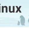 Linuxを使い始めるときに最初に設定すべきこと