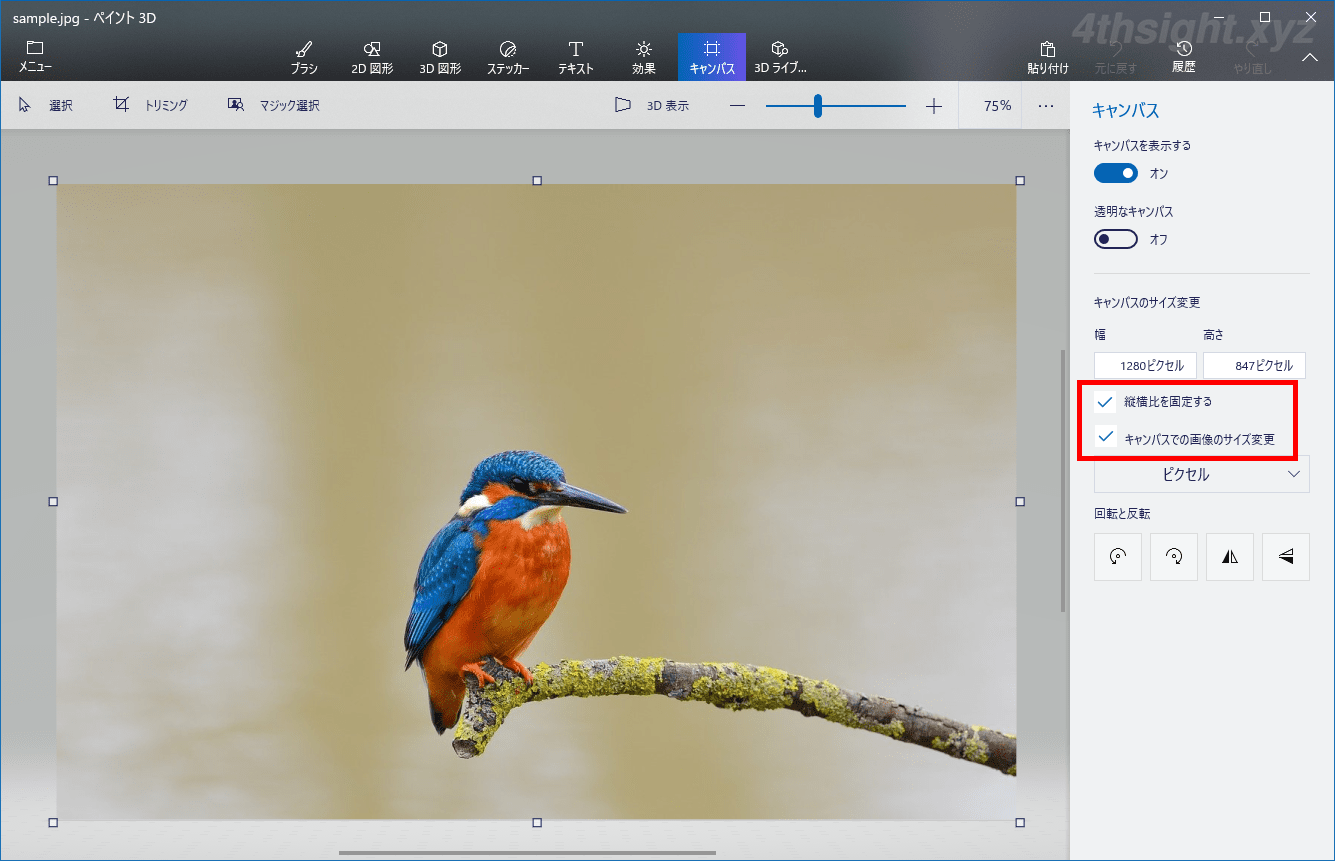 Windows10の標準アプリ ペイント3d で画像をトリミングしたり大きさを変更する方法 4thsight Xyz